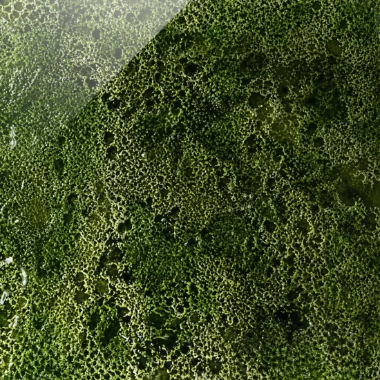 materiale-terra-tavolo-nastri-unica